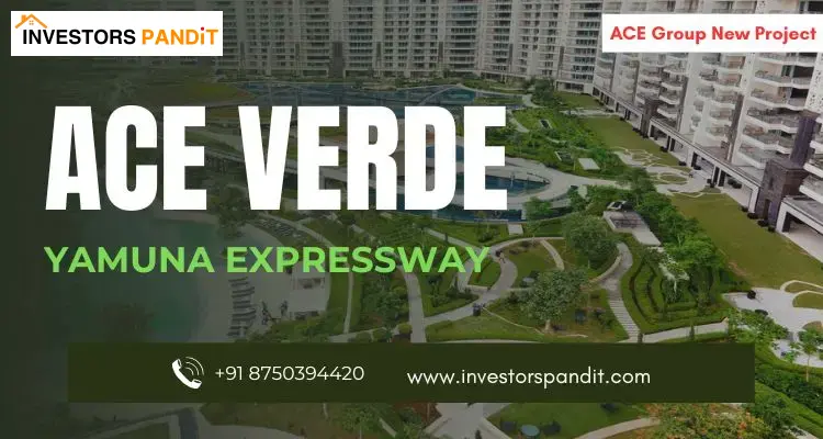 ace verde greater noida