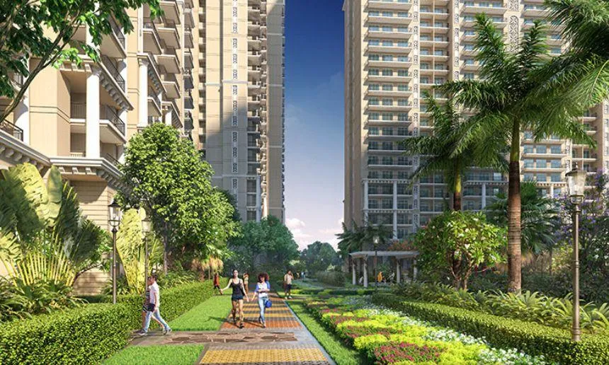 Prateek Grand Begonia Image 1