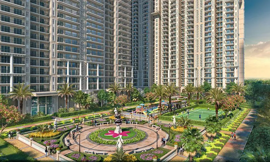 Prateek Grand Begonia Image 2